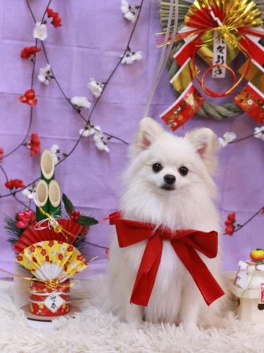 20230117オトくん